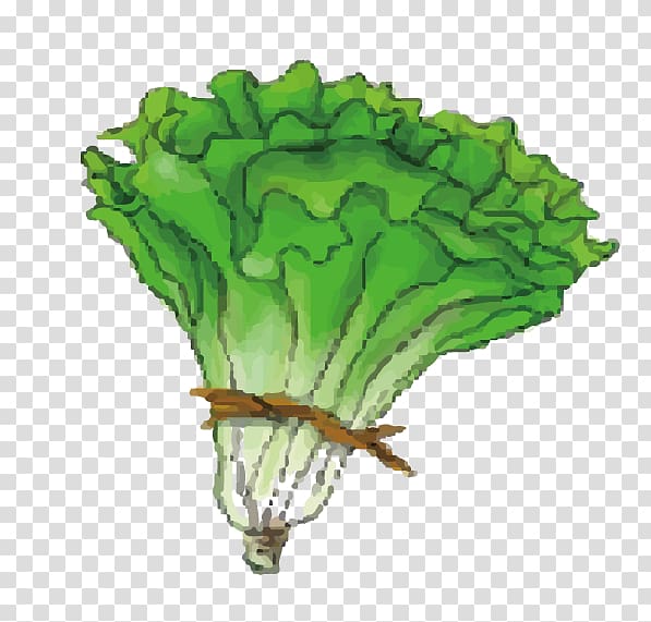 Cabbage Leaf vegetable Lettuce, Cartoon green cabbage transparent background PNG clipart