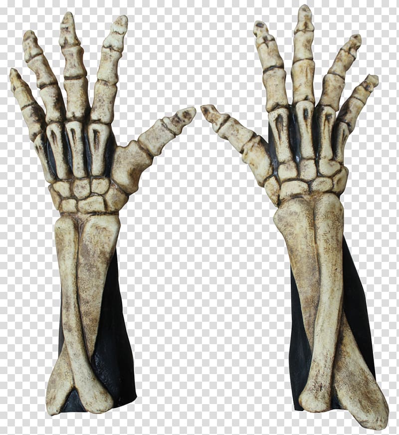 Robe Skeleton Finger Glove Hand, Skeleton transparent background PNG clipart