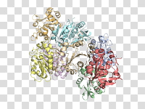 Body Jewellery Font, Jewellery transparent background PNG clipart thumbnail