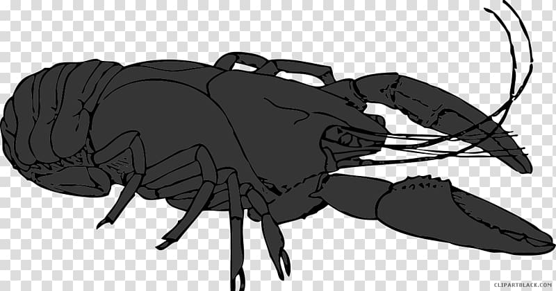 Lobster graphics Crayfish Illustration, lobster transparent background PNG clipart