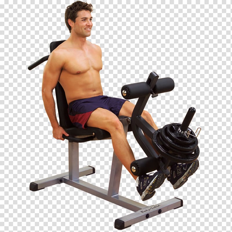 Leg extension Leg curl Fitness Centre Exercise Squat, others transparent background PNG clipart
