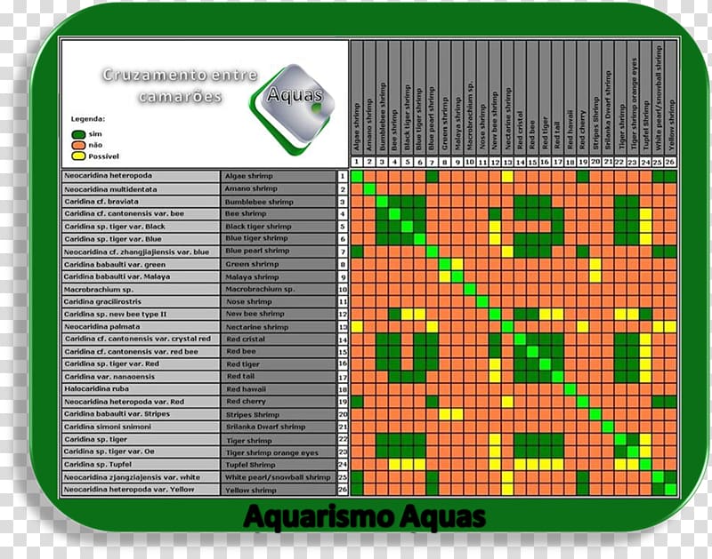 Invertebrate Vertebral column Water Area, camarão transparent background PNG clipart