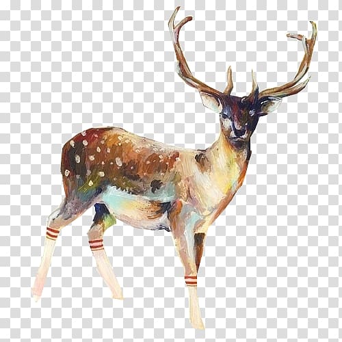 Deer Sock Poster Printmaking Illustration, Hand-painted watercolor deer transparent background PNG clipart