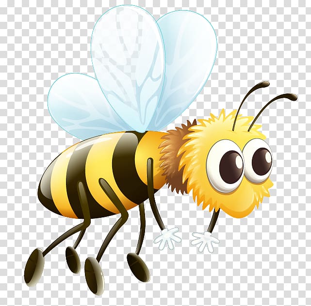 Western honey bee graphics Drone, bee transparent background PNG clipart
