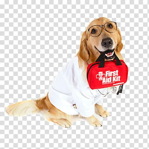 a doctor with a first-aid kit; a dog transparent background PNG clipart