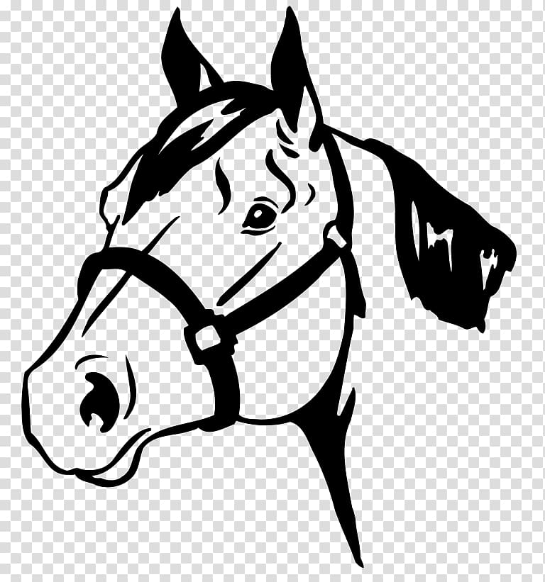 Horse show Horse Safety Equestrian 4-H, horse transparent background PNG clipart