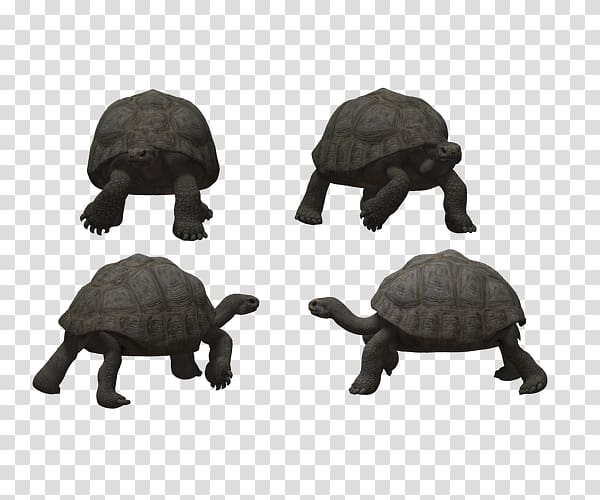 Tortoise Turtle Reptile, Crawling stone turtle design transparent background PNG clipart