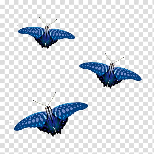 Butterfly Blue Euclidean , blue butterfly transparent background PNG clipart