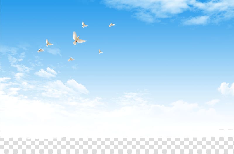 the blue sky of the dove of peace transparent background PNG clipart