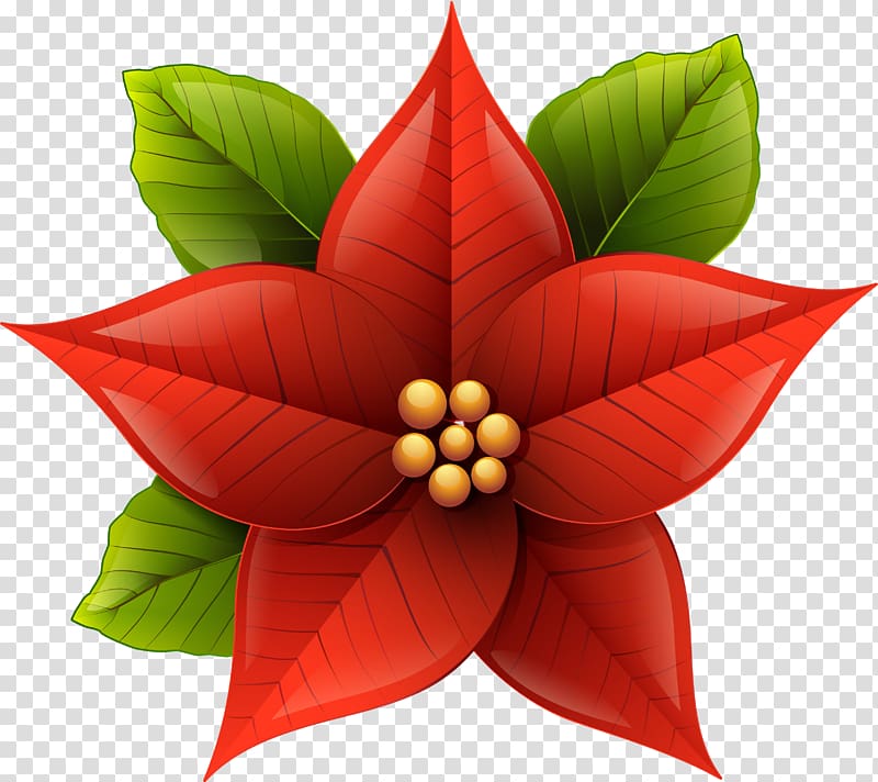 Poinsettia Christmas , christmas transparent background PNG clipart