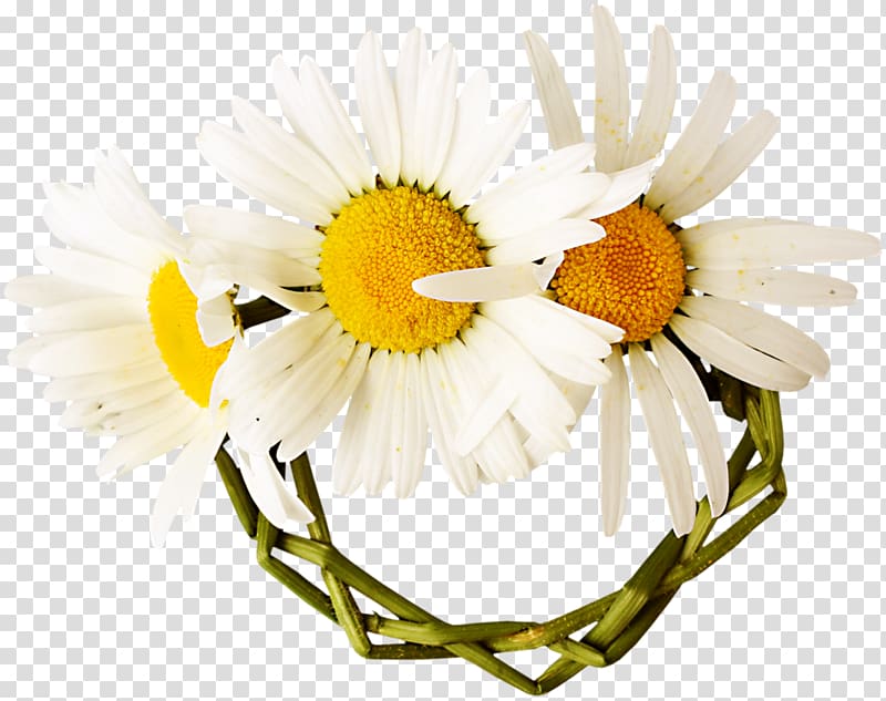Flower Love Floristry Blog Tendresse, flower transparent background PNG clipart