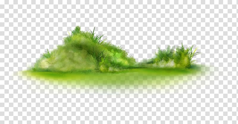 , Grass transparent background PNG clipart