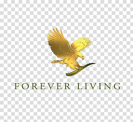 Forever Living logo art, Forever Living Products Aloe vera Jai