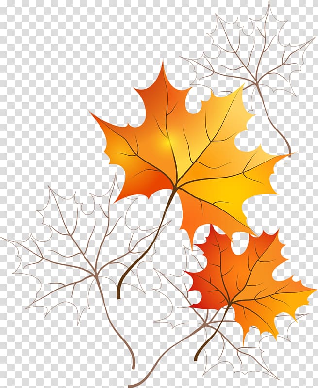 Frames Autumn leaf color Desktop , autumn transparent background PNG clipart