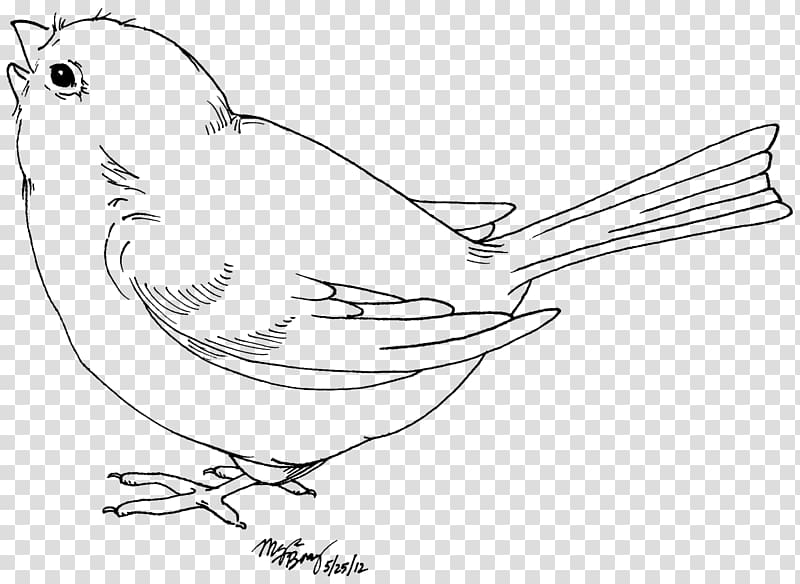 Bird Drawing Black and white , blue bird transparent background PNG clipart