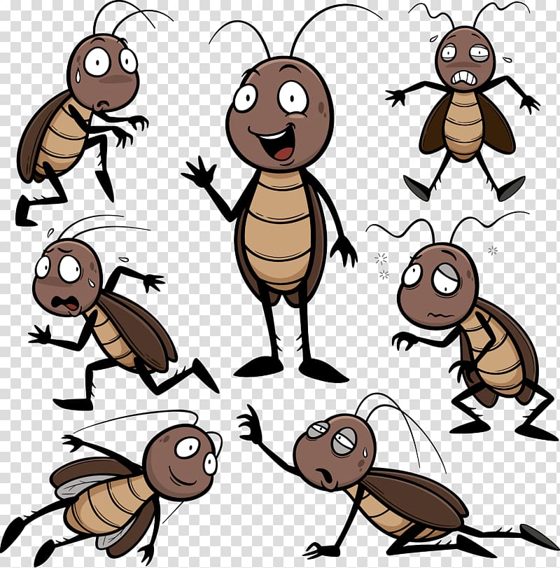 Cockroach Insect , roach transparent background PNG clipart