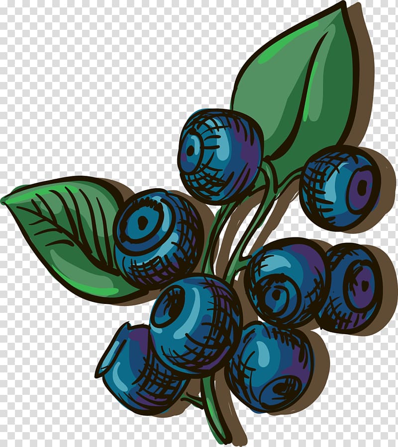 Blueberry Adobe Illustrator Illustration, painted blueberry transparent background PNG clipart