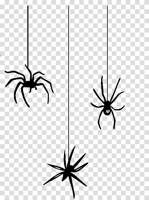 halloween spider png
