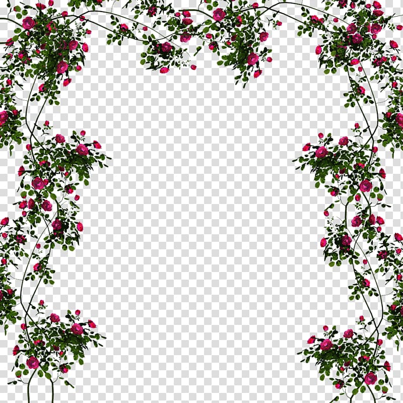 Cut flowers Floral design Floristry Petal, ucket transparent background PNG clipart