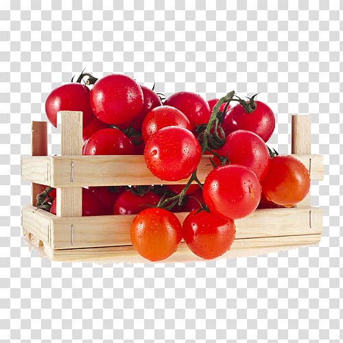 Vegetable Tomato Fruit Auglis Ingredient, Red tomatoes transparent background PNG clipart