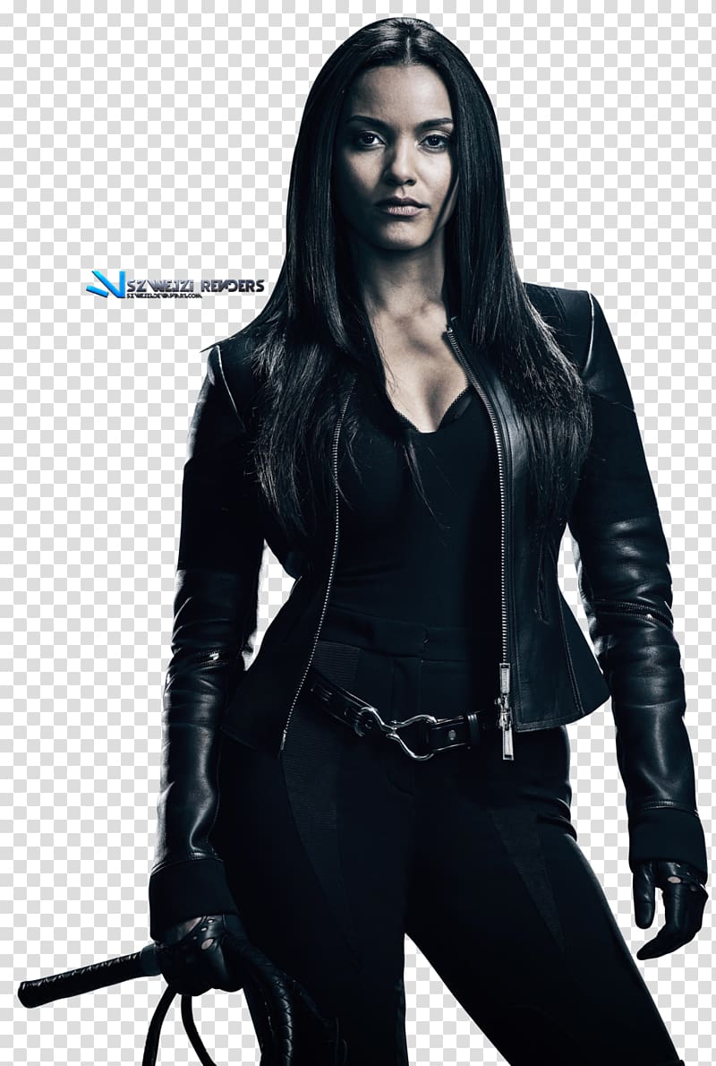 Jessica Lucas Leslie Thompkins Gotham Tigress Carmine Falcone, catwoman transparent background PNG clipart