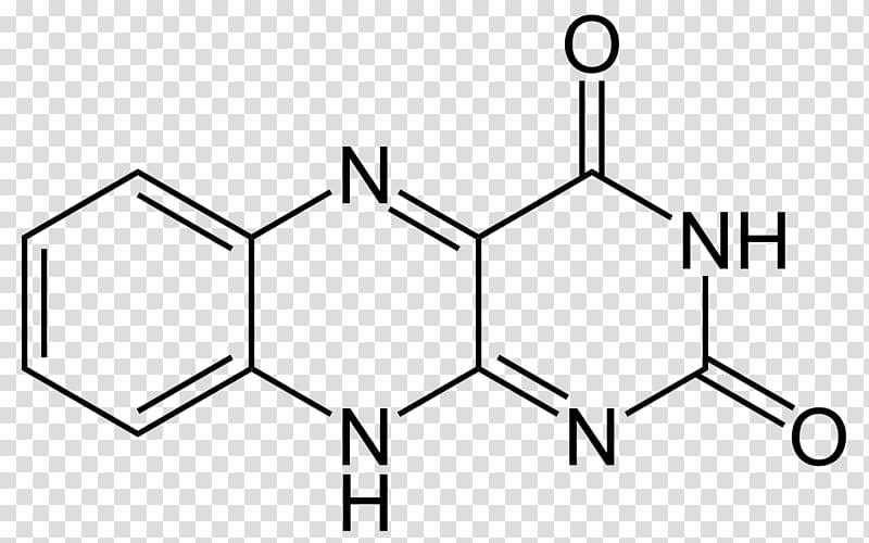 Uracil Thymine Adenine Nucleobase Pyrimidine, others transparent background PNG clipart