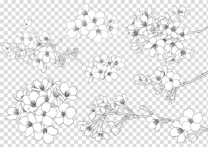Cherry blossom Illustration, Hand-painted cherry transparent background PNG clipart