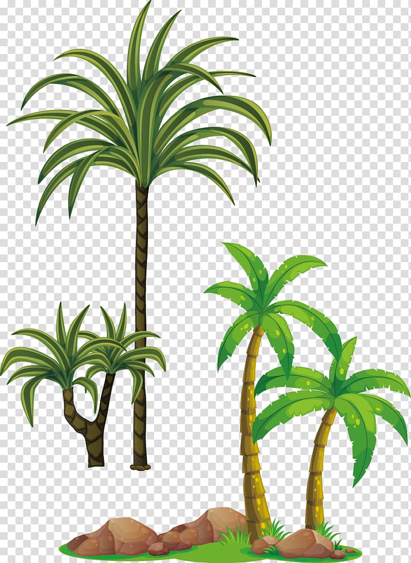 Free Download Tree Arecaceae Coconut Tree Transparent Background