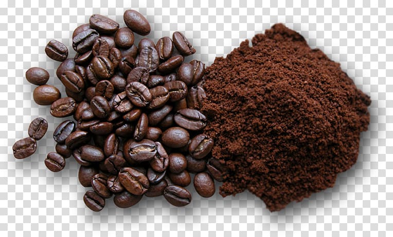 Coffee bean Instant coffee Espresso Powder, Coffee Roaster transparent background PNG clipart