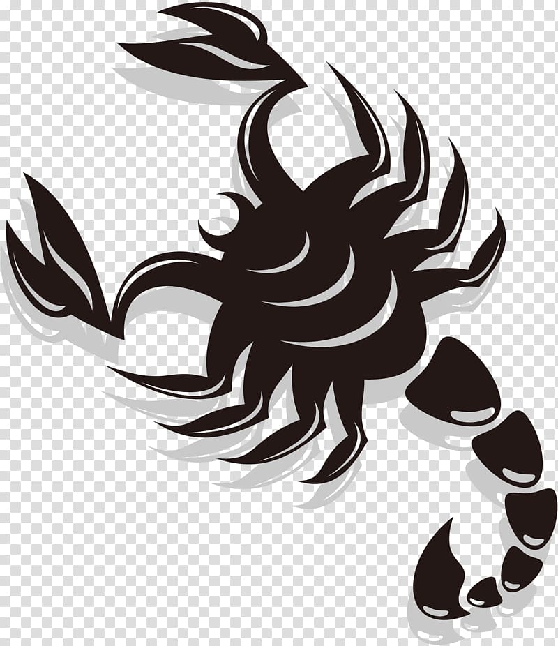 Scorpion Euclidean , Scorpions transparent background PNG clipart