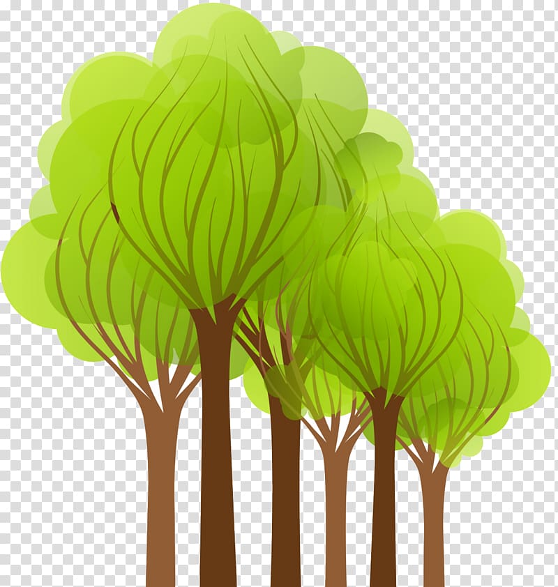 Shulin District Tree Cartoon, green tree transparent background PNG clipart