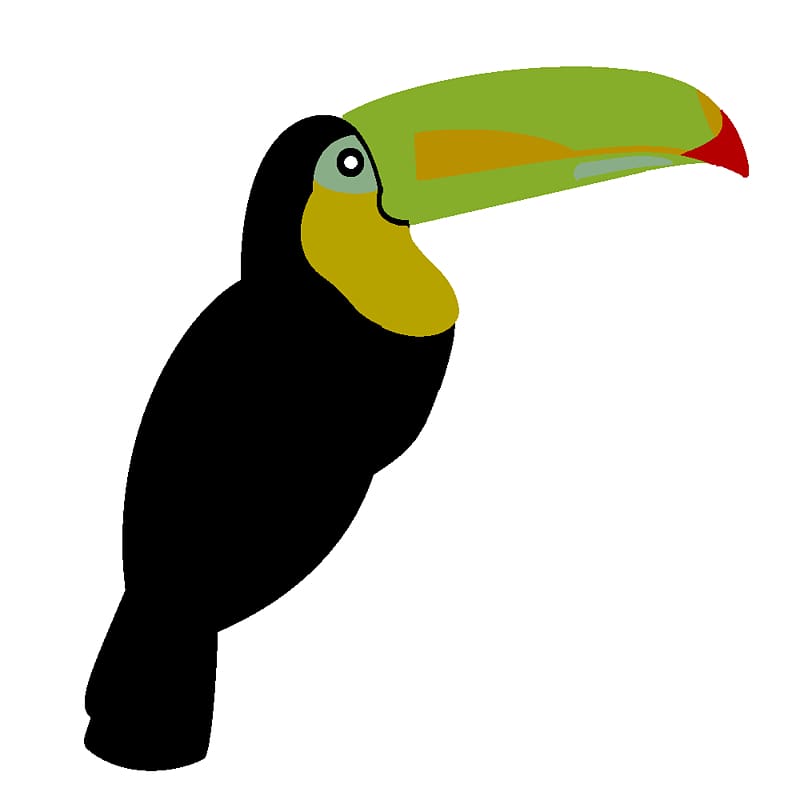 Keel-billed toucan Common ostrich Bird Toco toucan Penguin, Toucan Outline transparent background PNG clipart