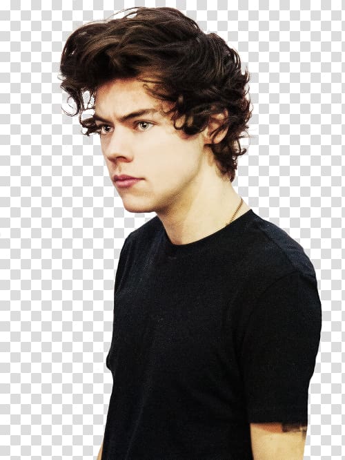 Harry Styles One Direction Singer Male, styles transparent background PNG clipart