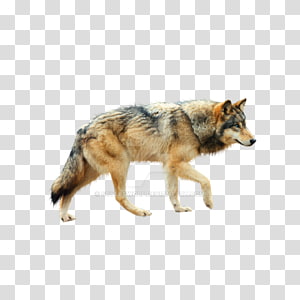 Gray and black dog art, Sprite 2D computer graphics Game African wild ...