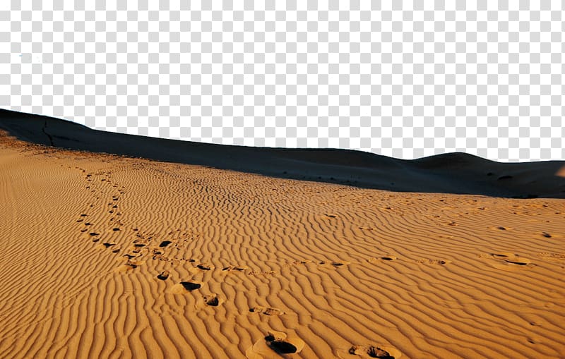 Sahara Erg Desert Singing sand Dune, Desert Footprints transparent background PNG clipart
