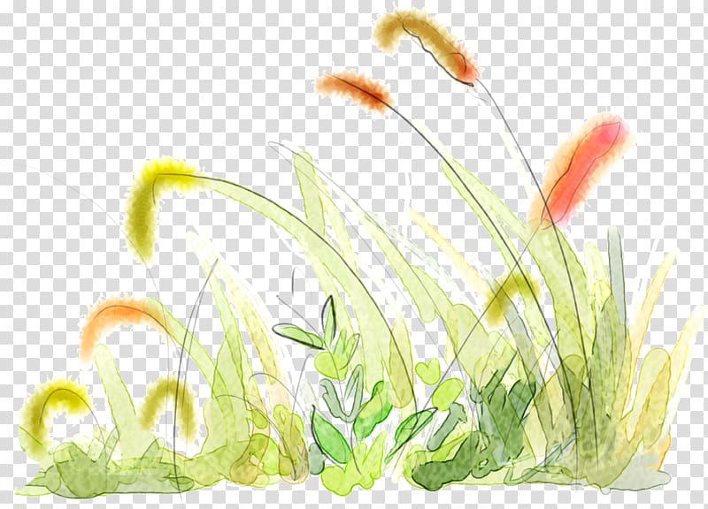 Foxtail Setaria viridis, Hand-painted fresh dog\'s tail grass transparent background PNG clipart