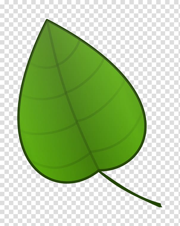 Cartoon Leaf , Leaf transparent background PNG clipart