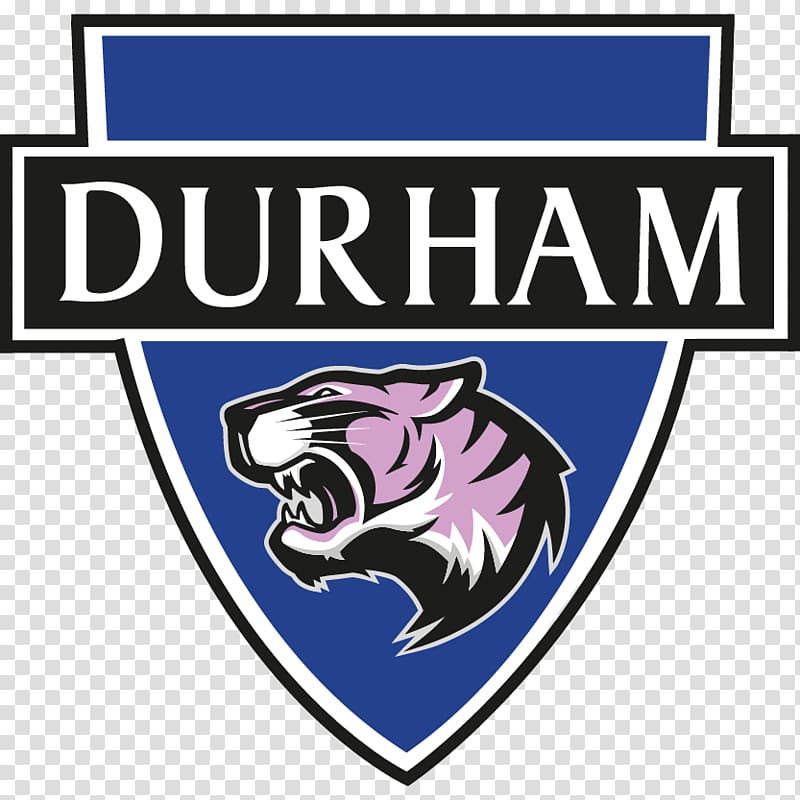 Durham Women\'s F.C. FA WSL 2 FA WSL 1, football transparent background PNG clipart