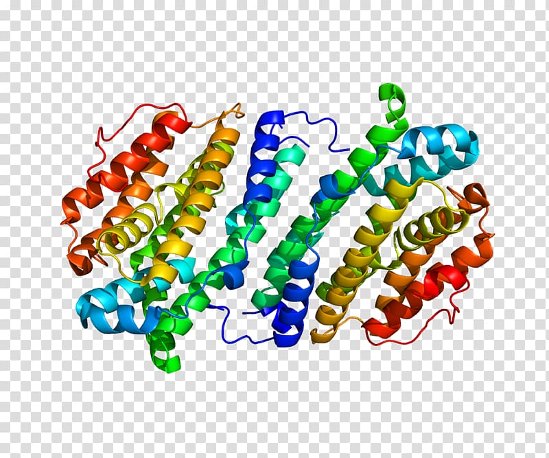 RRM2B Ribonucleotide reductase Ribonucleoside Gene, others transparent background PNG clipart