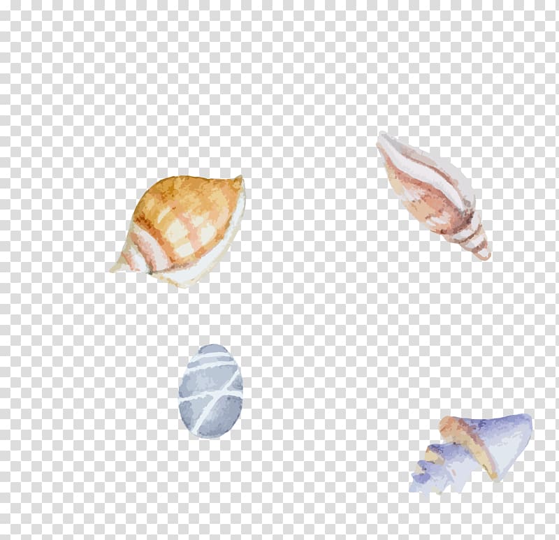 Seashell Clam Sea snail Watercolor painting Illustration, Color hand painted sea river mussel transparent background PNG clipart