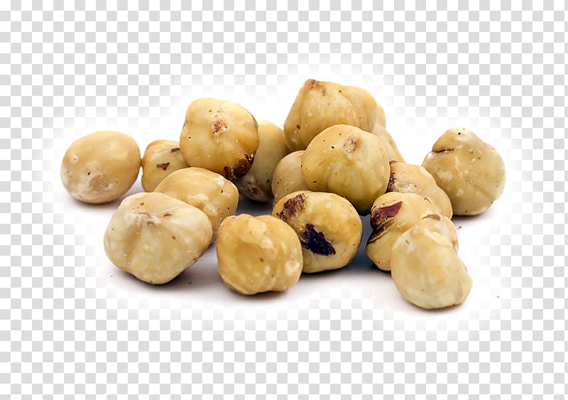 Ingredient Hazelnut Dried Fruit Nuts, pine nuts transparent background PNG clipart