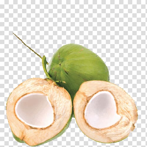 coconuts illustration, Coconut water Es kelapa muda Coconut milk Thai cuisine, coconut transparent background PNG clipart