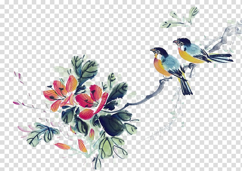 early bird transparent background PNG clipart