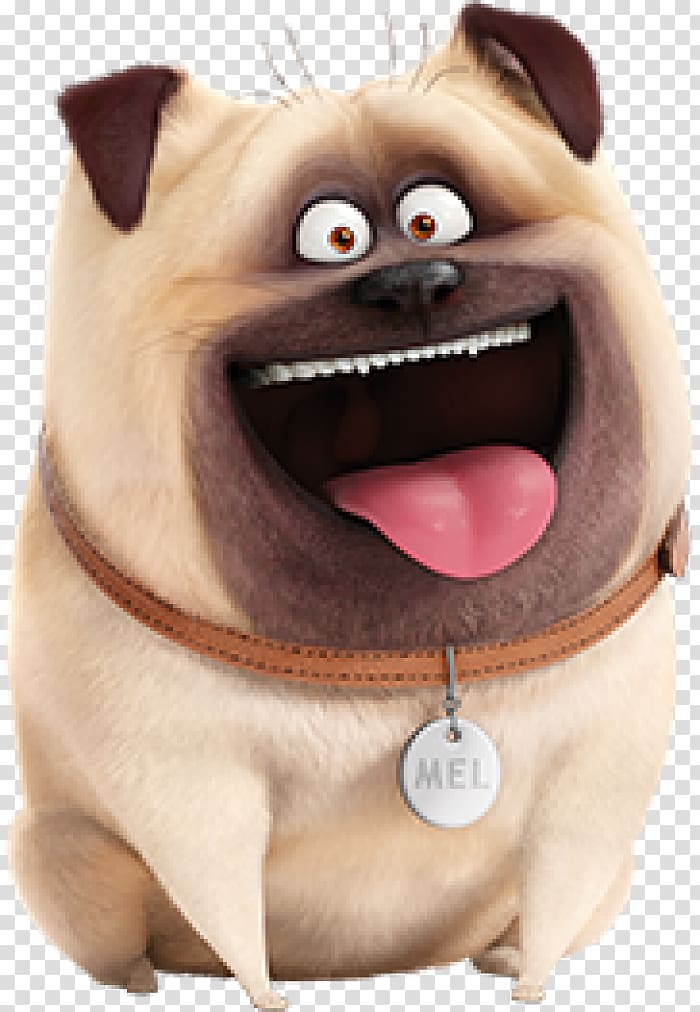 Pug Mel Max The Secret Life of Pets Animation, cartoon pugs transparent background PNG clipart