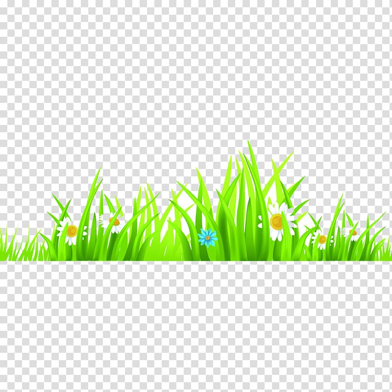 Euclidean Cdr , Grass transparent background PNG clipart