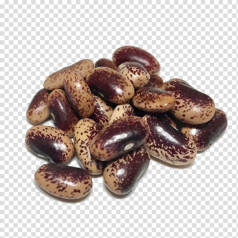 Holland Heirloom Beans Organic food Heirloom plant, beans transparent background PNG clipart