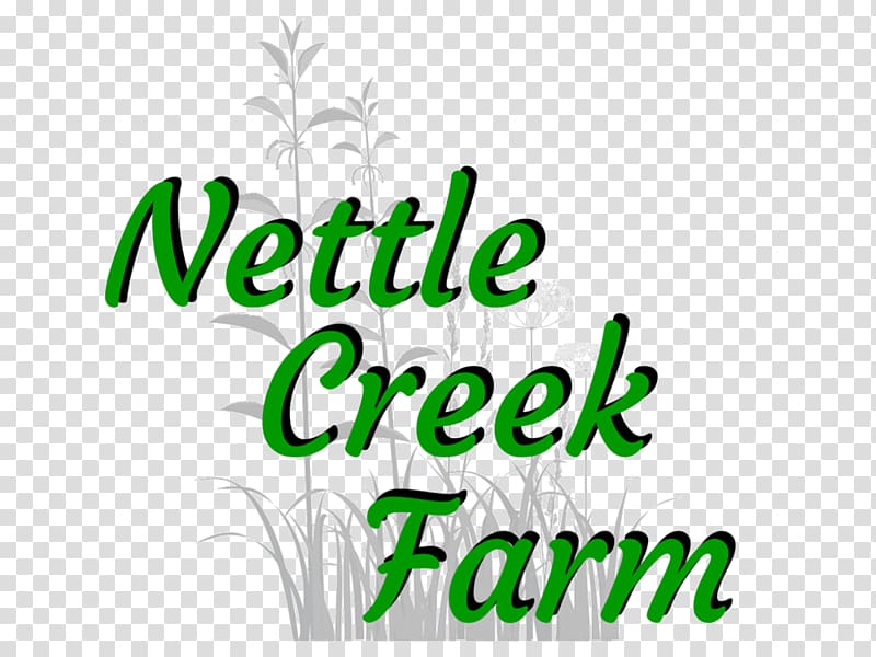 Chicken 1 Corinthians 15 Common Nettle Herb Food, Nettle transparent background PNG clipart
