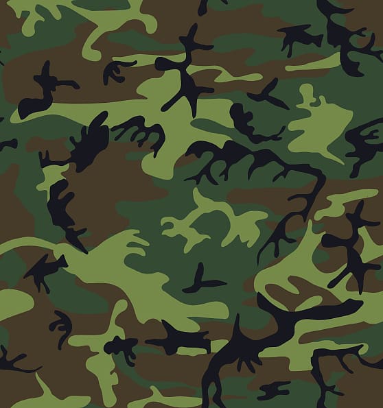 Military camouflage Multi-scale camouflage , Camo Anniversary transparent background PNG clipart