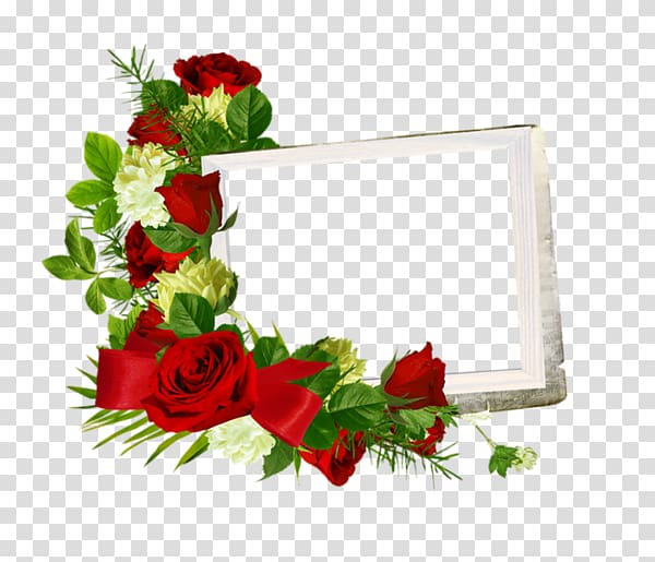 Garden roses Frames Paper, rosas vermelhas transparent background PNG clipart