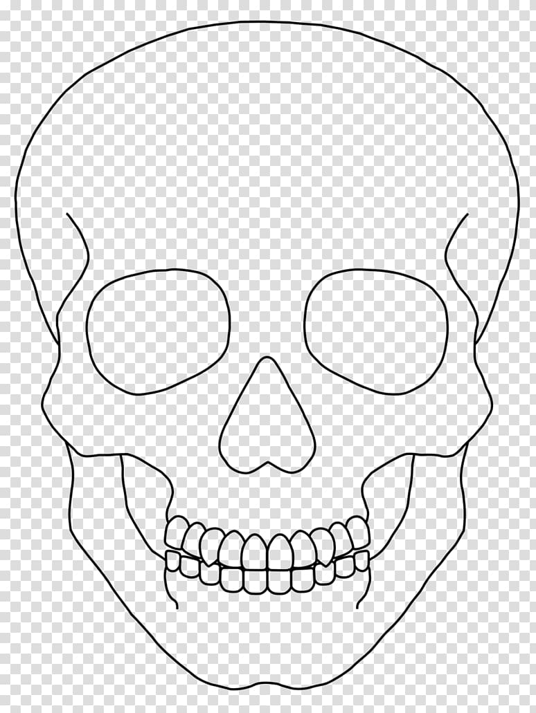 Calavera Skull Drawing , skull transparent background PNG clipart